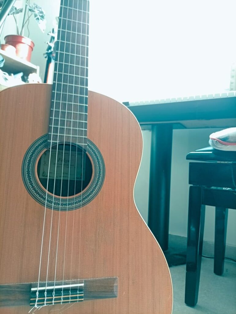 Geokoo /Classical guit